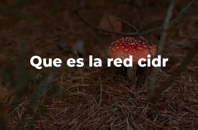 Que es la Red Cidr