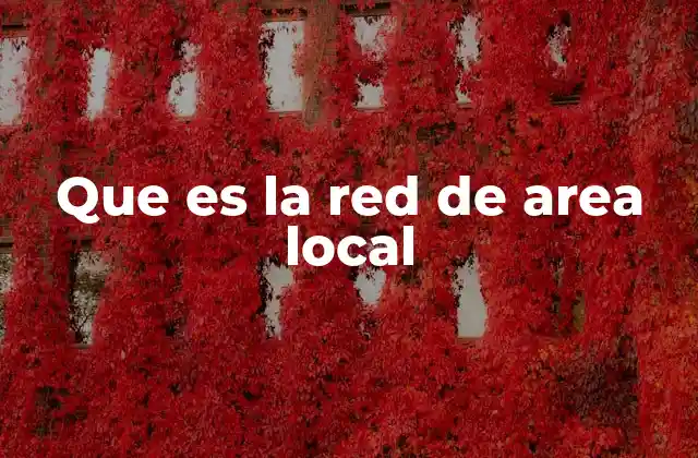 Cómo funciona una red de área local
