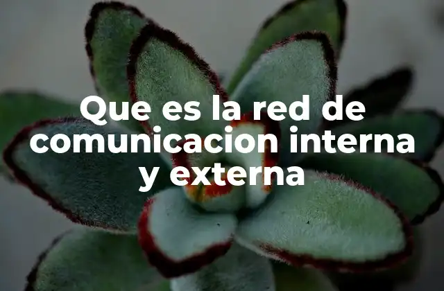 Que es la Red de Comunicacion Interna y Externa