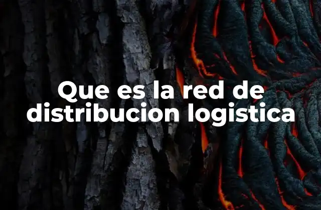 Que es la Red de Distribucion Logistica