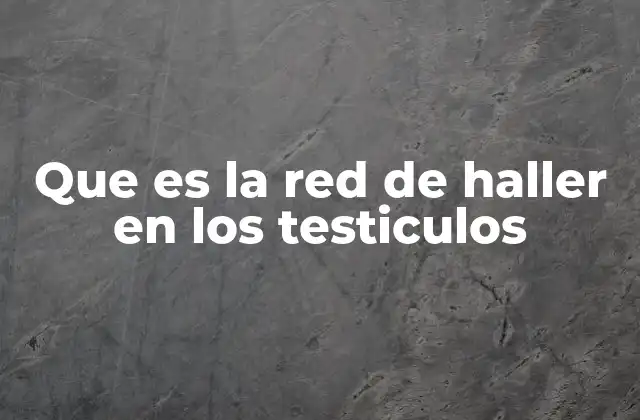 Que es la Red de Haller en los Testiculos