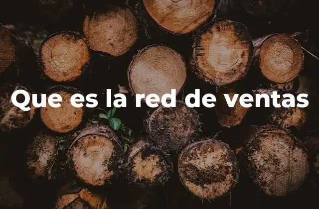 Que es la Red de Ventas