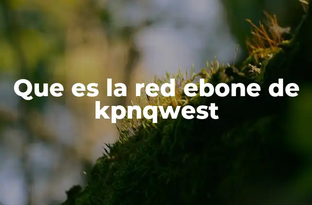 Que es la Red Ebone de Kpnqwest