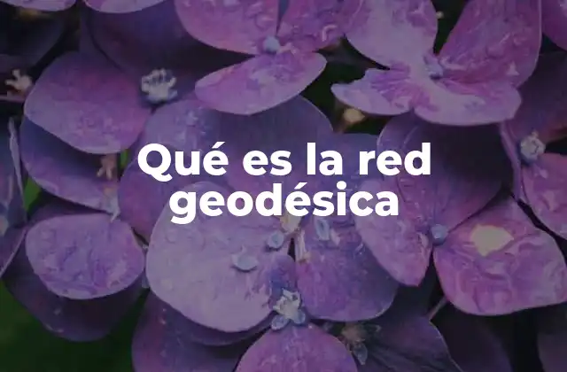 Qué es la Red Geodésica