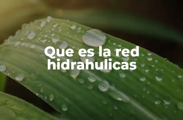 Que es la Red Hidrahulicas