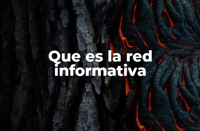 Que es la Red Informativa