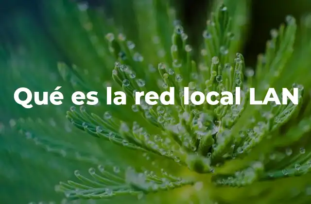 Cómo funciona una red local sin mencionar la palabra clave