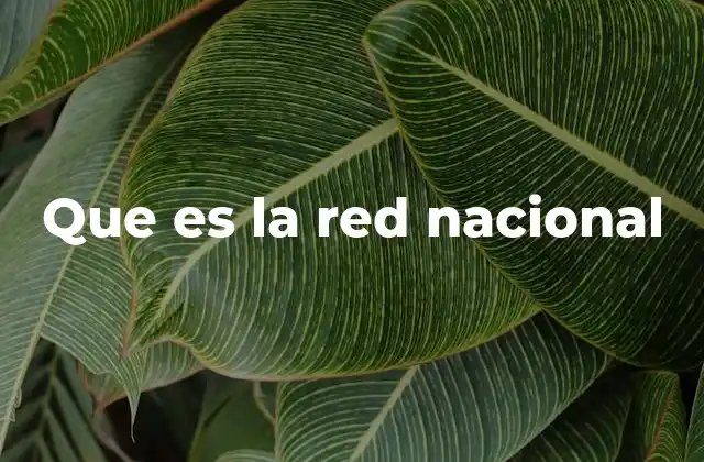 Que es la Red Nacional