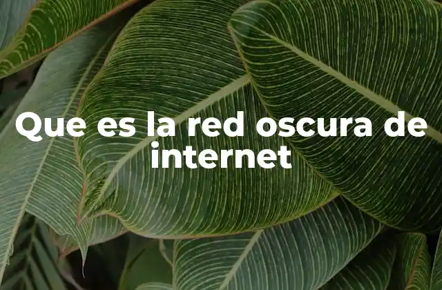 Que es la Red Oscura de Internet