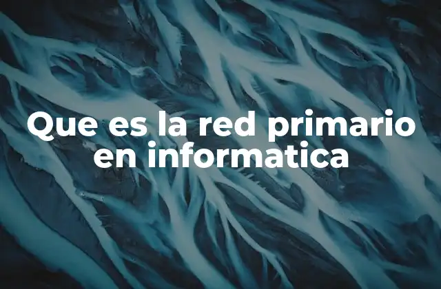 Que es la Red Primario en Informatica