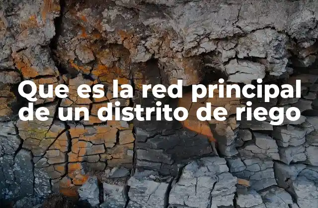 Que es la Red Principal de un Distrito de Riego