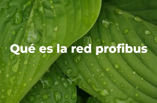 Qué es la Red Profibus