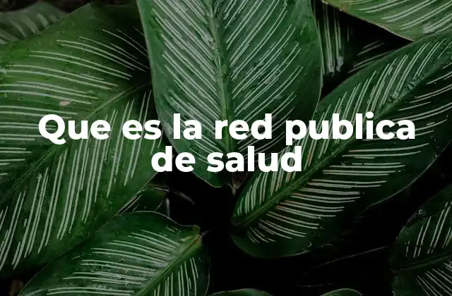 Que es la Red Publica de Salud