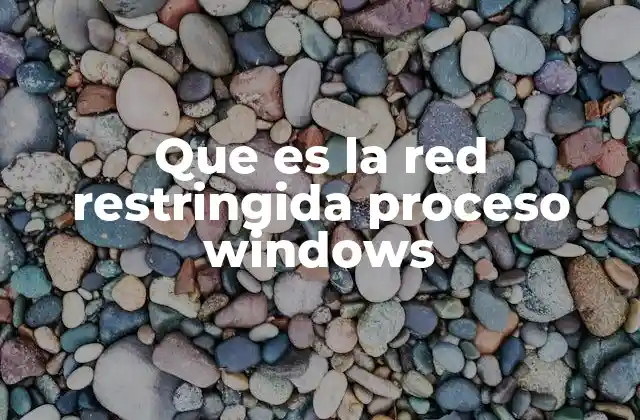Que es la Red Restringida Proceso Windows