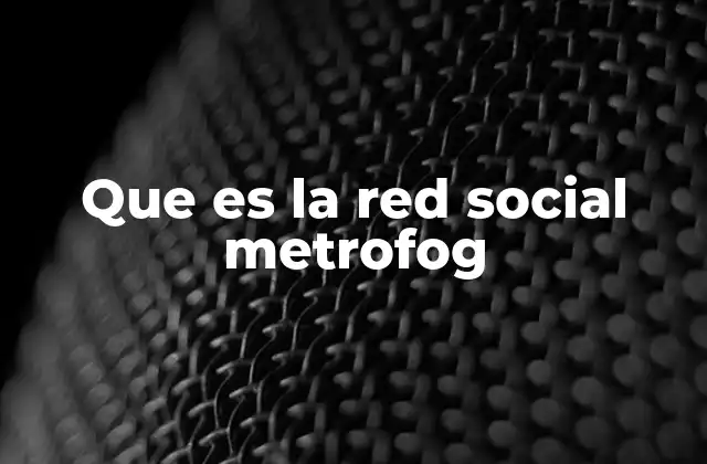 Que es la Red Social Metrofog