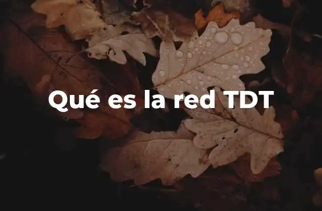 Cómo la TDT ha transformado la televisión en los hogares