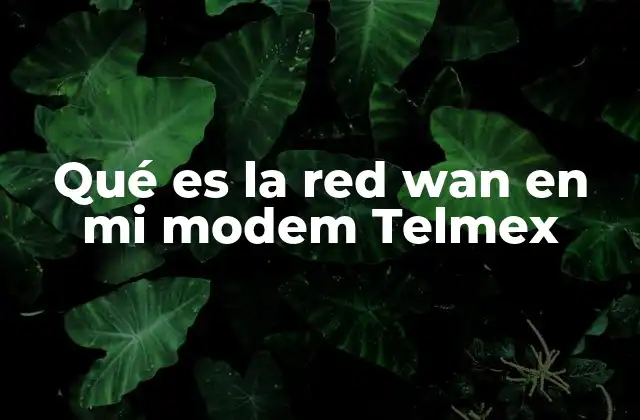 Qué es la Red Wan en Mi Modem Telmex