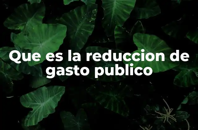 Que es la Reduccion de Gasto Publico