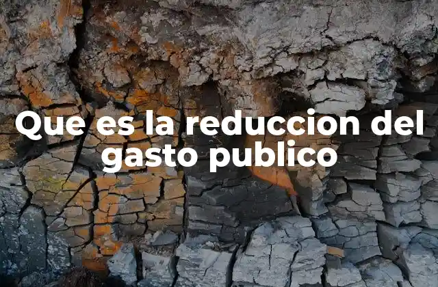 Que es la Reduccion Del Gasto Publico