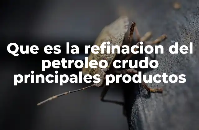 Que es la Refinacion Del Petroleo Crudo Principales Productos