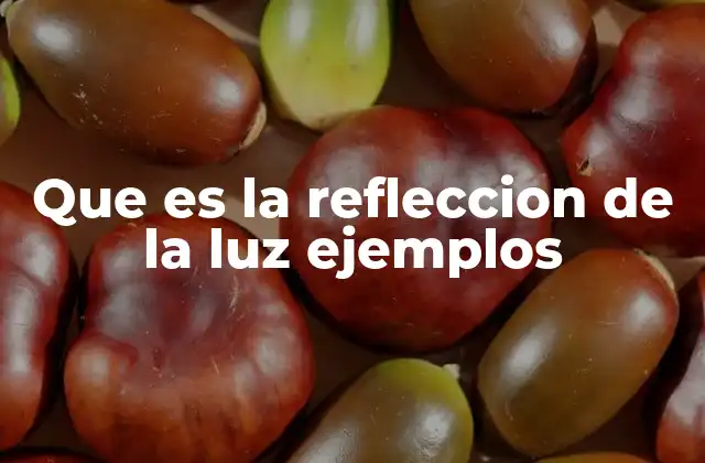 Que es la Refleccion de la Luz Ejemplos