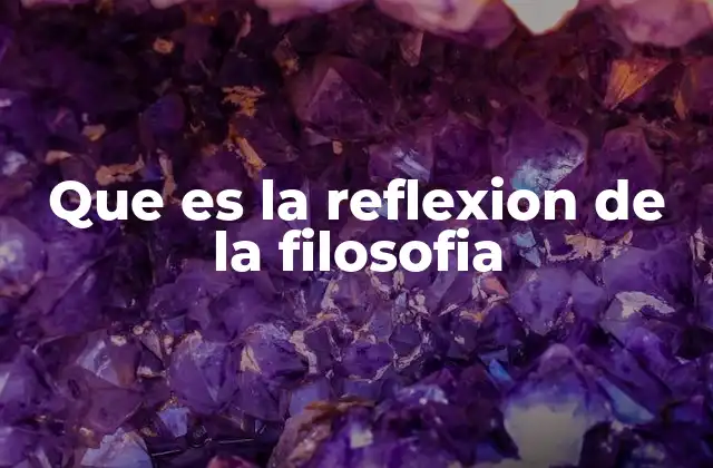 Que es la Reflexion de la Filosofia