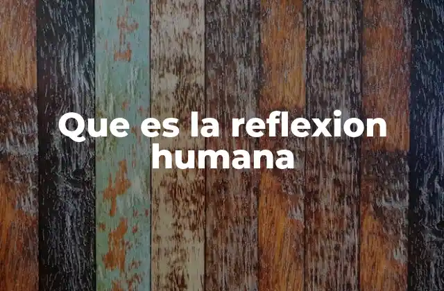Que es la Reflexion Humana