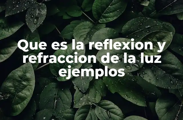 Que es la Reflexion y Refraccion de la Luz Ejemplos