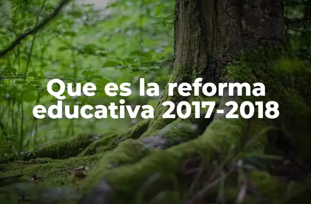 Que es la Reforma Educativa 2017-2018