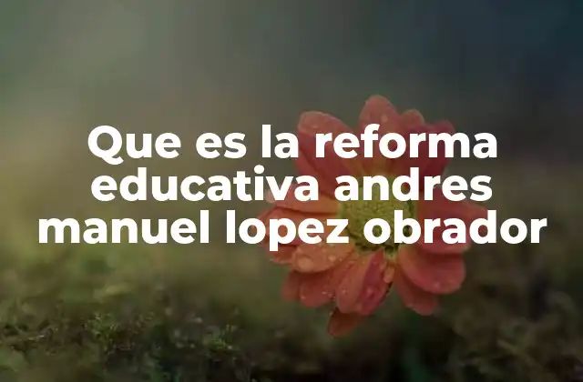 Que es la Reforma Educativa Andres Manuel Lopez Obrador