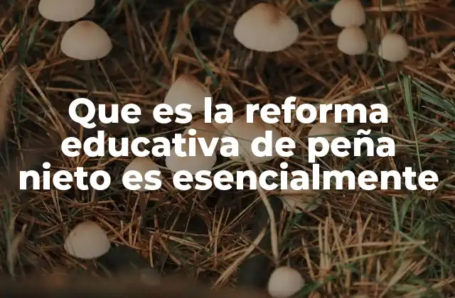 Que es la Reforma Educativa de Peña Nieto es Esencialmente