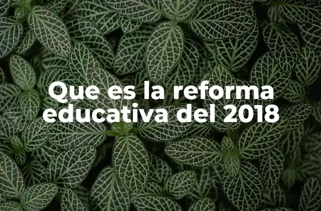 Que es la Reforma Educativa Del 2018