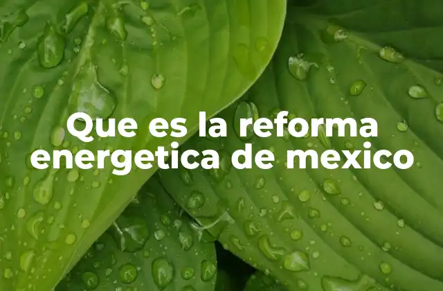 Que es la Reforma Energetica de Mexico