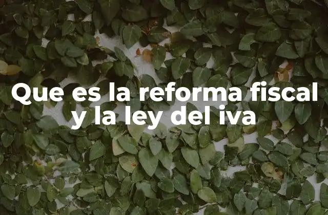Que es la Reforma Fiscal y la Ley Del Iva