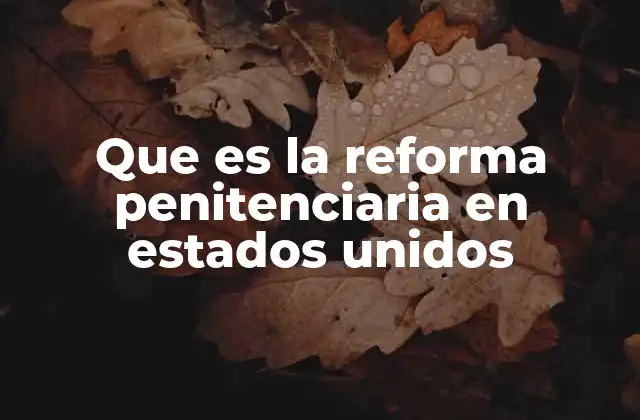 Que es la Reforma Penitenciaria en Estados Unidos
