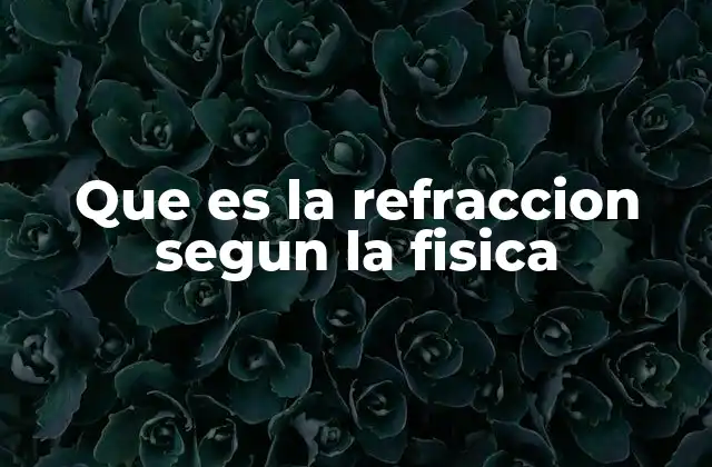 Que es la Refraccion Segun la Fisica
