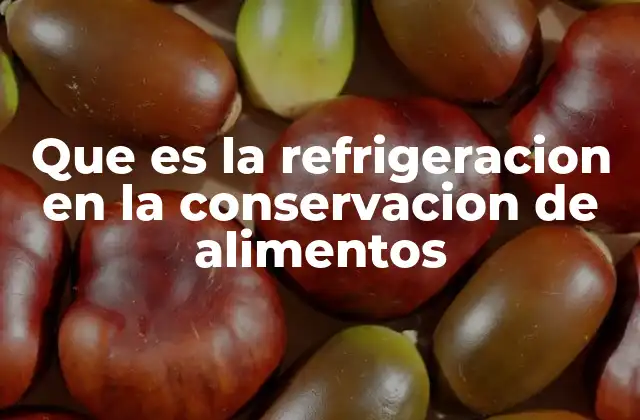 Que es la Refrigeracion en la Conservacion de Alimentos