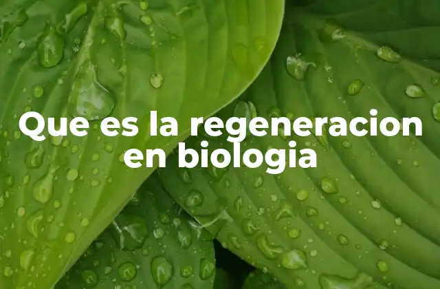 Que es la Regeneracion en Biologia