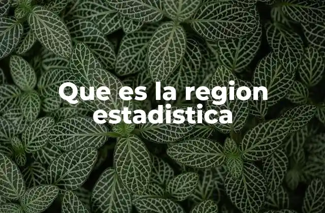 Que es la Region Estadistica