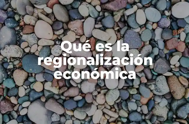 Qué es la Regionalización Económica