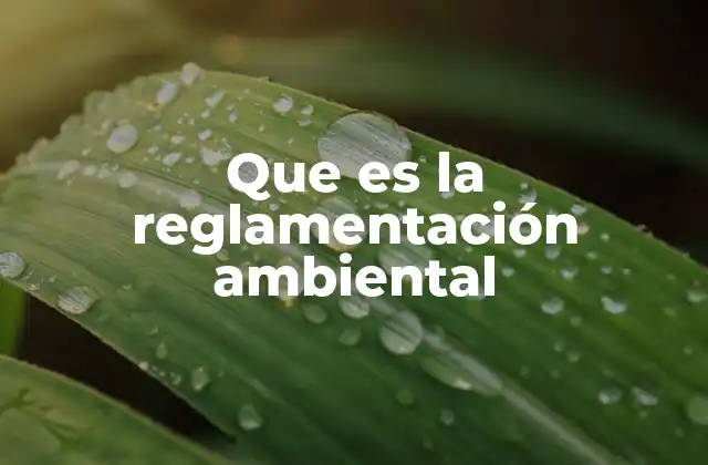 Que es la Reglamentación Ambiental