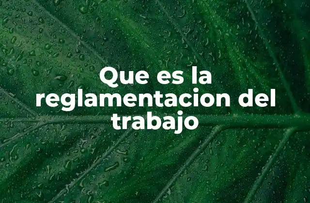 Que es la Reglamentacion Del Trabajo