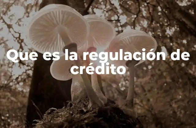 Que es la Regulación de Crédito