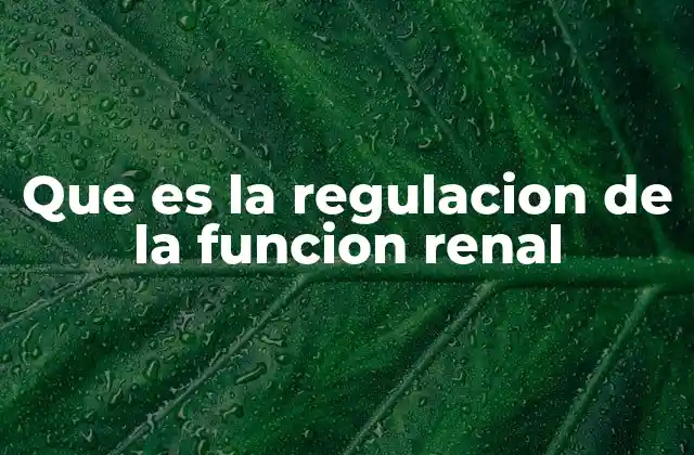 Que es la Regulacion de la Funcion Renal