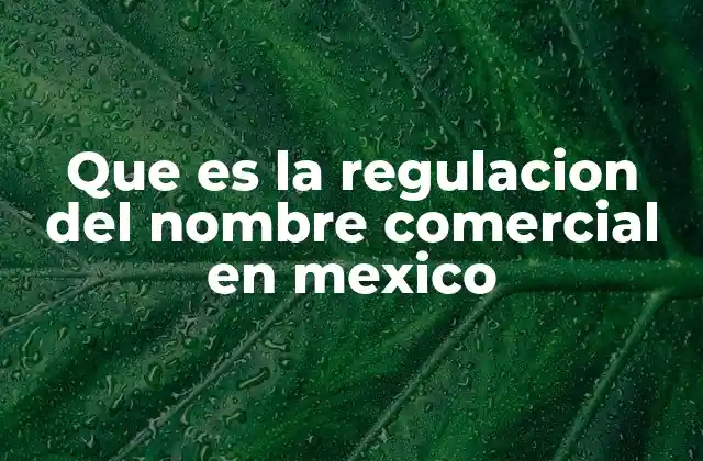 Que es la Regulacion Del Nombre Comercial en Mexico
