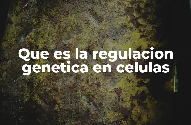 Que es la Regulacion Genetica en Celulas