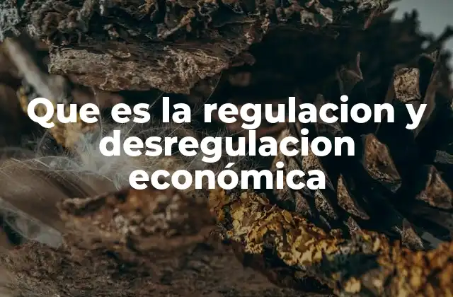 Que es la Regulacion y Desregulacion Económica