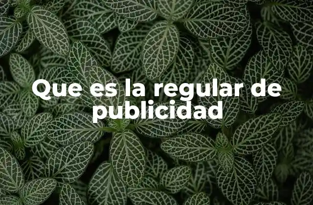 Que es la Regular de Publicidad