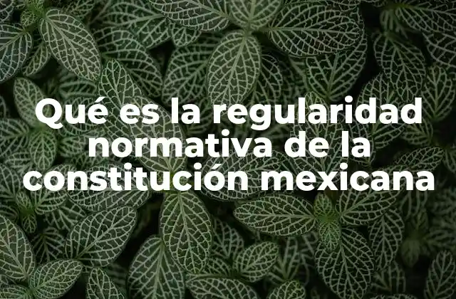 Qué es la Regularidad Normativa de la Constitución Mexicana
