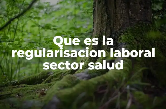 Que es la Regularisacion Laboral Sector Salud